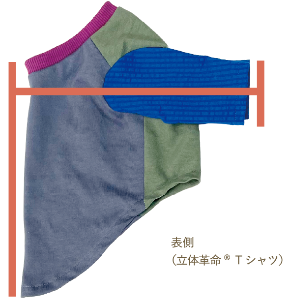 表側
(立体革命®Tシャツ)